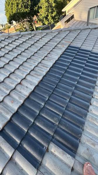 Expert Roof Painting & Broken Roof Repair in Bardia, Denham Court & Raby